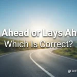Lies Ahead or Lays Ahead: Which Is Correct?