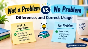 Not a Problem vs. No Problem: Difference, and Correct Usage