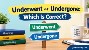 Underwent or Undergone: Which Is Correct?